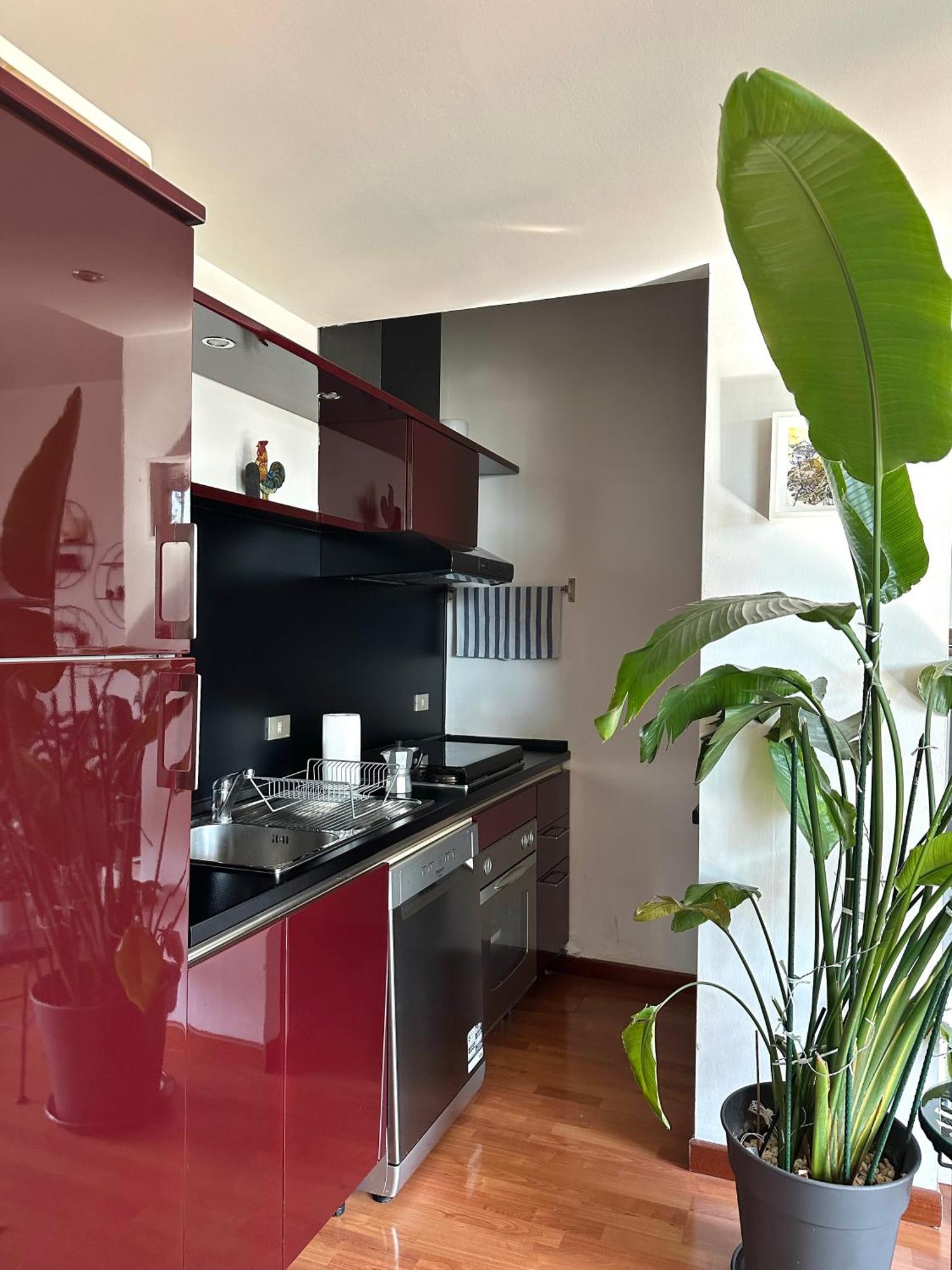 Apartamento Urban Jungle - Attico Vista Duomo Milán Exterior foto