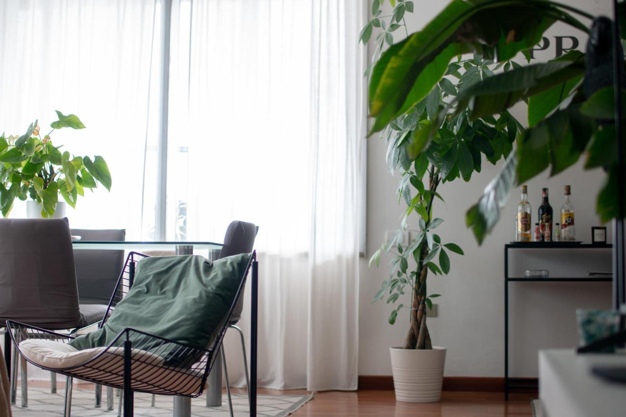 Apartamento Urban Jungle - Attico Vista Duomo Milán Exterior foto