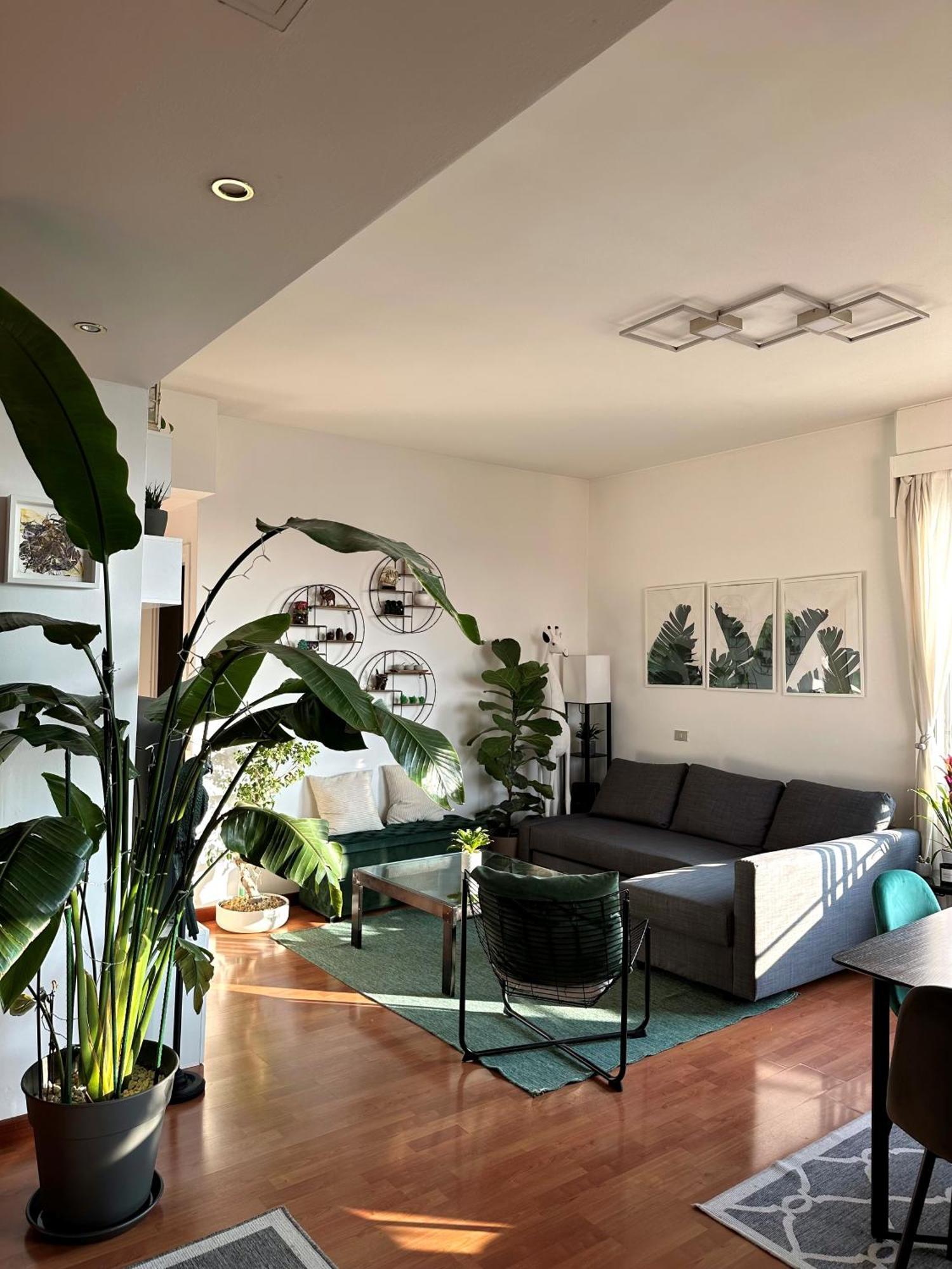 Apartamento Urban Jungle - Attico Vista Duomo Milán Exterior foto
